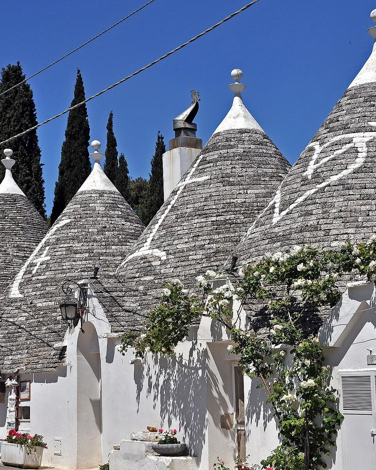 Bari e Alberobello