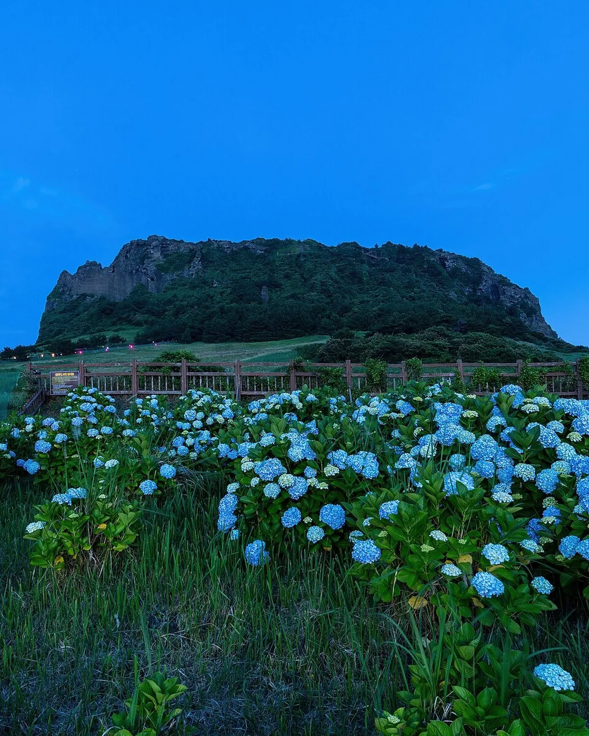 Jeju