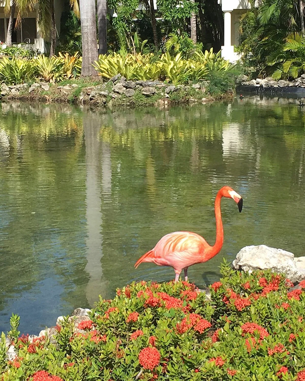 Punta Cana e Bávaro