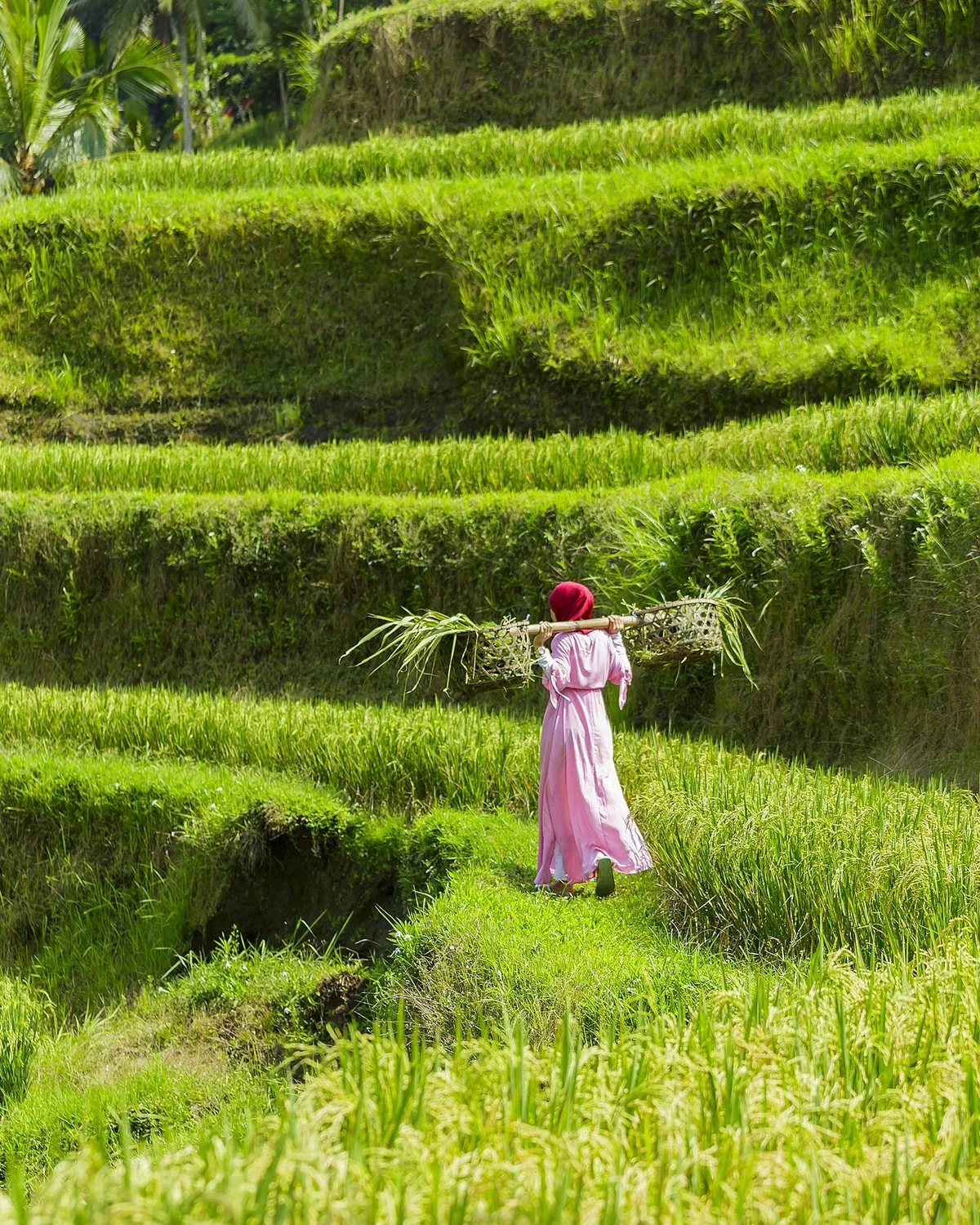 Ubud